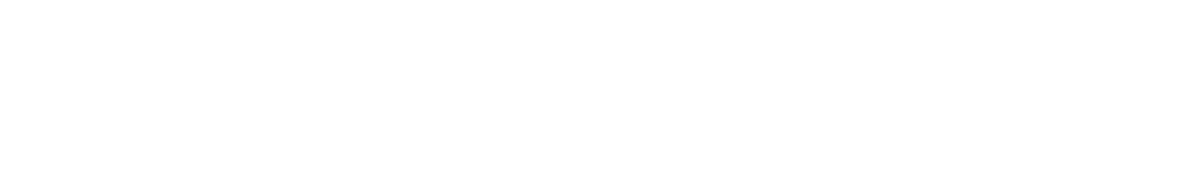 Passionata logo